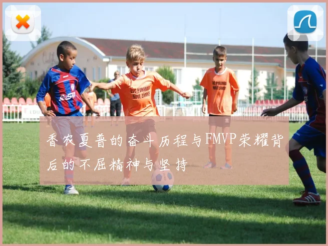 香农夏普的奋斗历程与FMVP荣耀背后的不屈精神与坚持