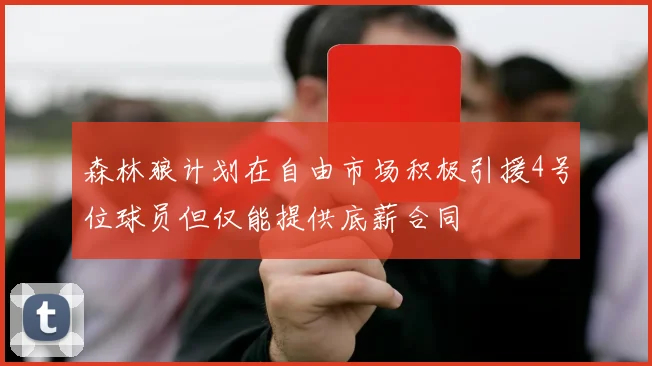 森林狼计划在自由市场积极引援4号位球员但仅能提供底薪合同